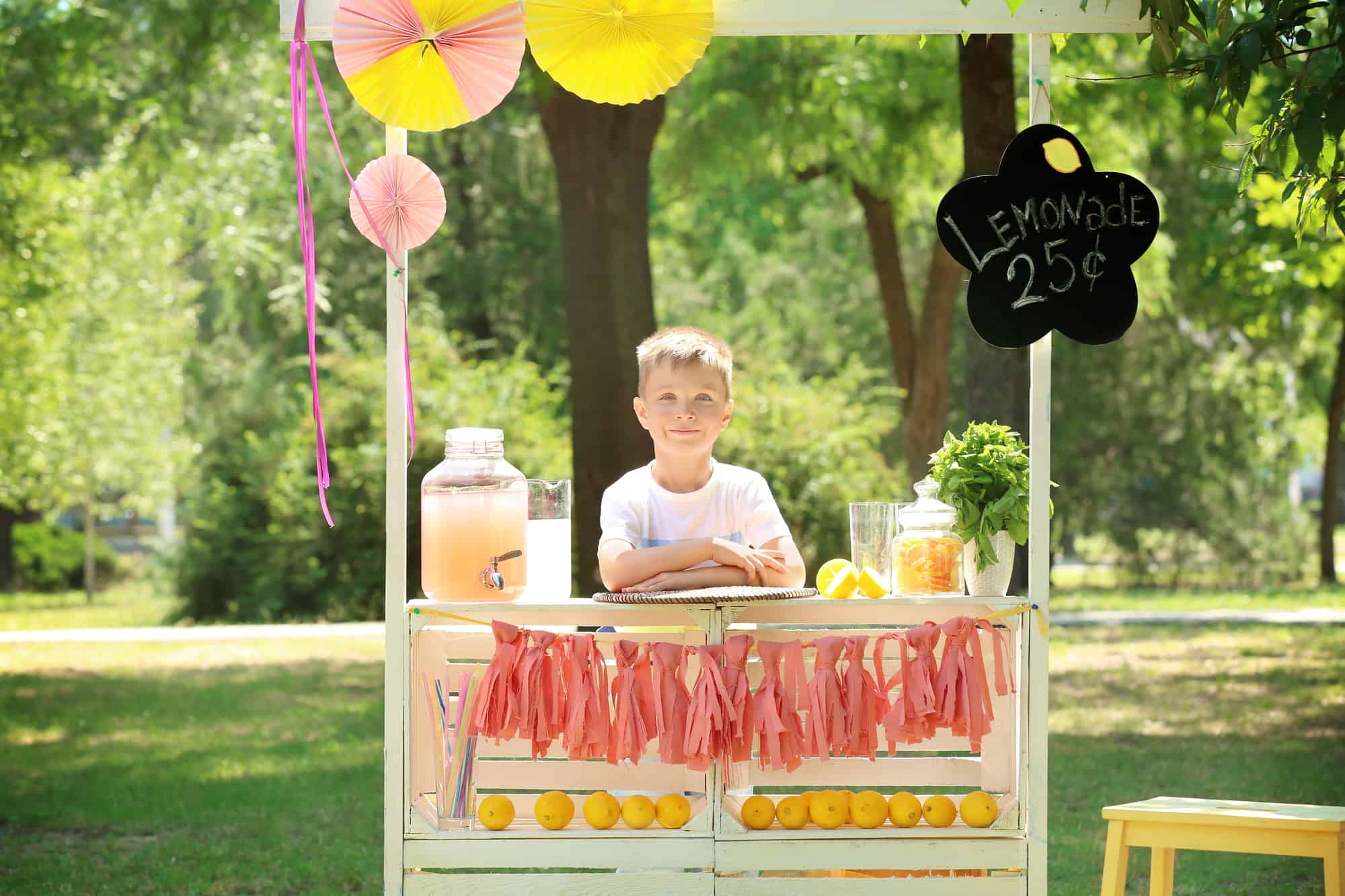 A young entrepreneur with a perfect lemonade stand.