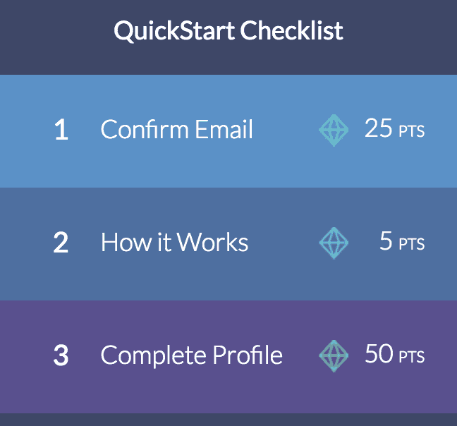 The Survey Junkie quickstart checklist.