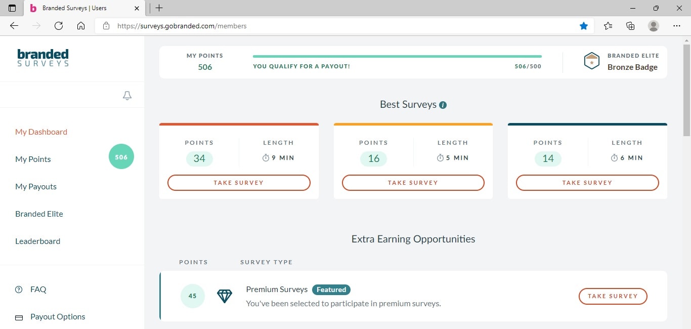 Branded Surveys